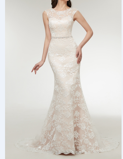 Lace Mermaid Appliques Dress