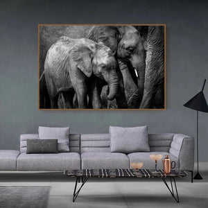 Poster - Black and White African Elephant