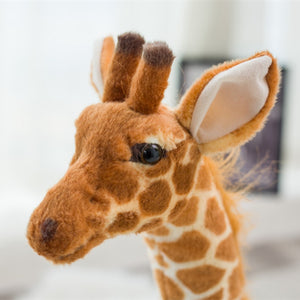 Stuffed Animal - Huge Real Life Giraffe