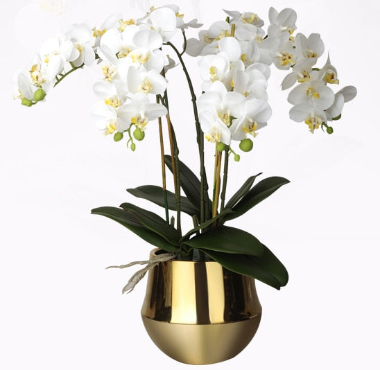 Artificial orchid phalaenopsis