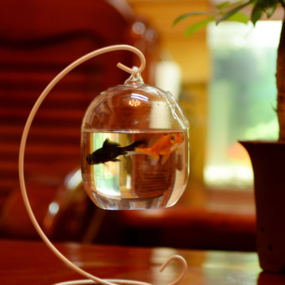 Fish Tank - Creative Hanging Iron Shelf Glass Hydroponic Tank