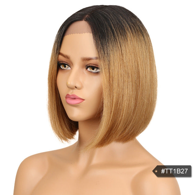 Wig - Sleek Human Hair Lace Wigs