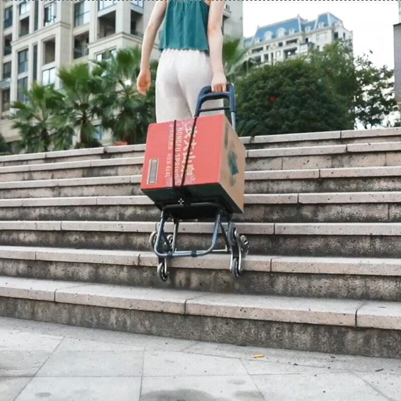 Portable Shopping Cart