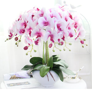 Artificial orchid phalaenopsis