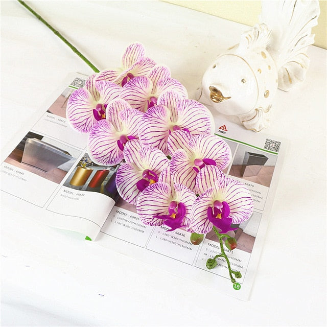 Orchids Arrangement