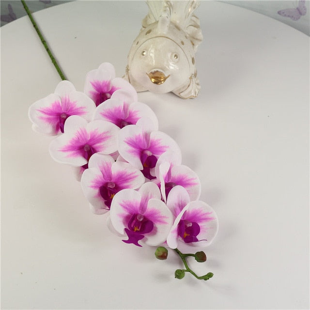 Orchids Arrangement