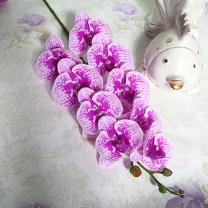 Orchids Arrangement