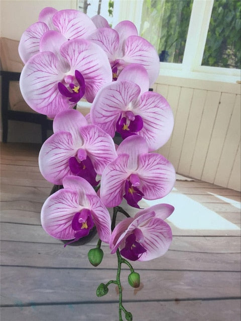 Orchids Arrangement