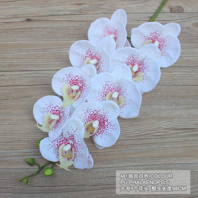 Orchids Arrangement