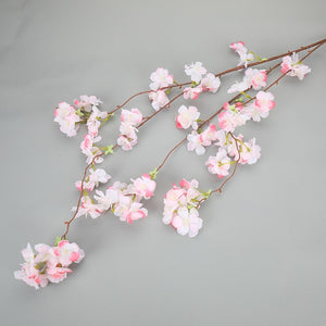 Cherry Blossom Tree