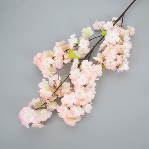 Cherry Blossom Tree