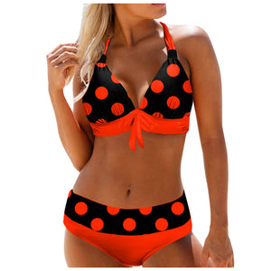 Bikini Fashion Beachwear